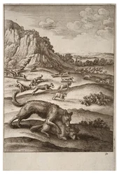 Os lobos e as ovelhas